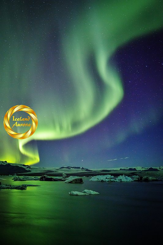 Vertical northern lights photo