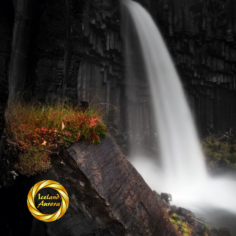 Svartifoss Waterfall