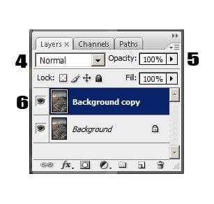 photoshop duplicate layer