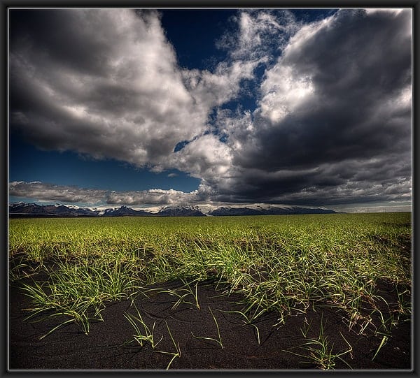 sharp foreground!