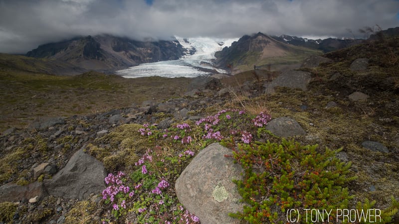 Glacier Landscape