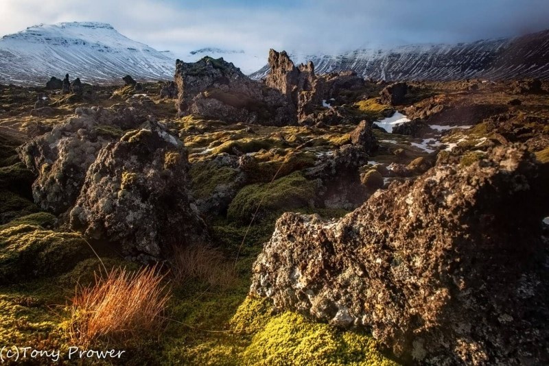 Berserk Lava field SnÃ¦fellsnes – Icelandic Scenery