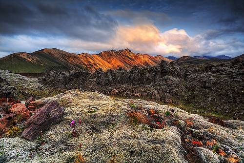 Landmannalaugar lava field