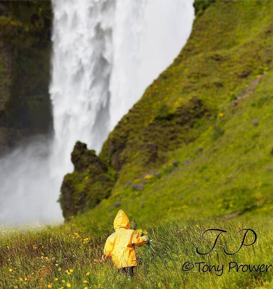 Picking flowers at Skogafoss