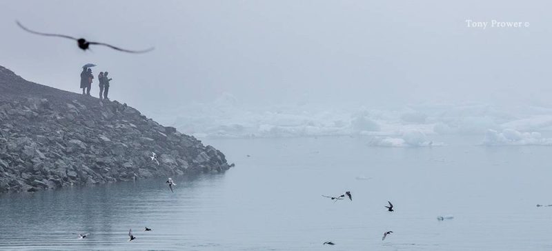 Jokulsarlon glacier lagoon