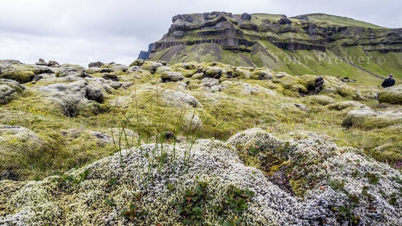 lava field near Kirkjubaerklaustur