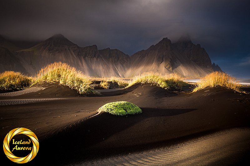 Vestrahorn mountain sand & tussocks