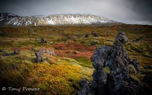 Snaefellsnes lava field.