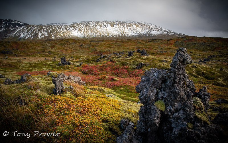 Lava Fields – Volcanic Iceland