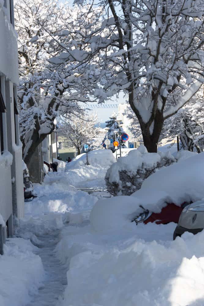 Snowy Reykjavik